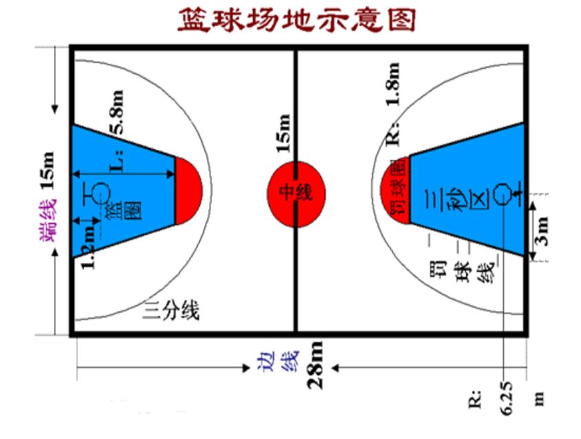 为什么nba篮球场比cba大(NBA的球场和CBA的篮筐哪个更高？)