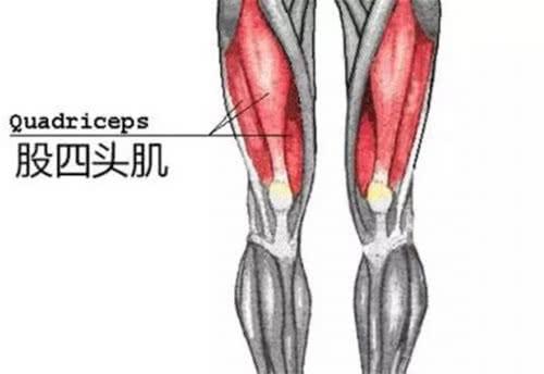 女生要想擺脫象腿、肉肉腿，你需要堅持鍛鍊這個動作！