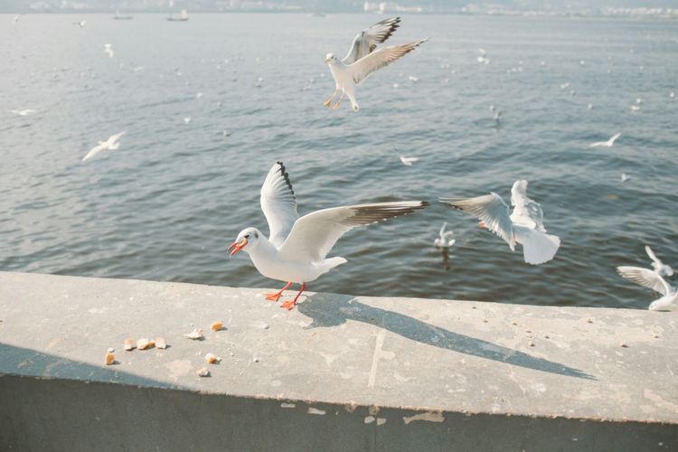 家人开心快乐最重要（健康最重要，开心最重要，家人最重要！）