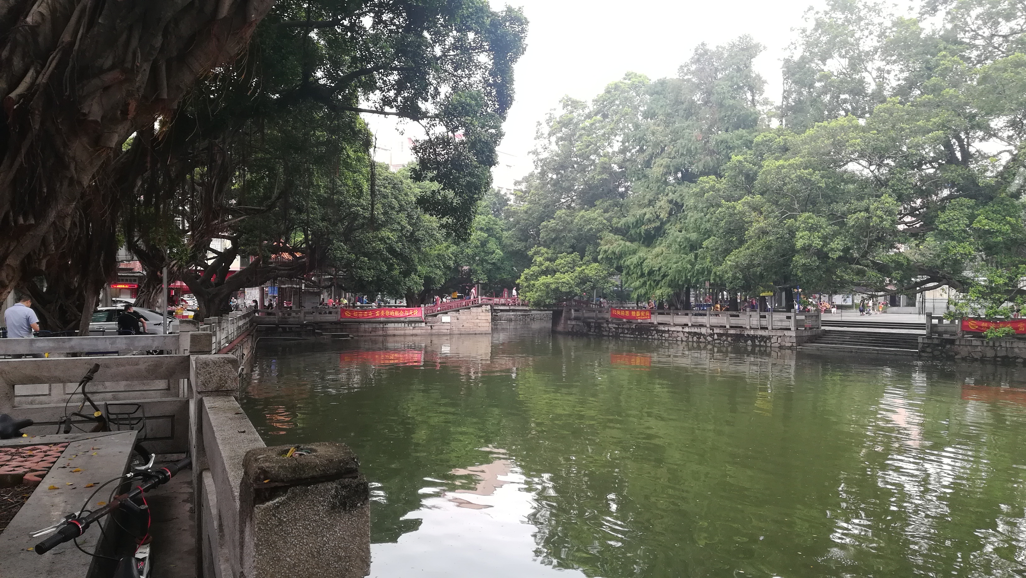 广州笔记龙潭村大榕树下的桥乡盛景