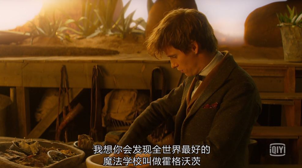 你的魔法杖已配送，请查收