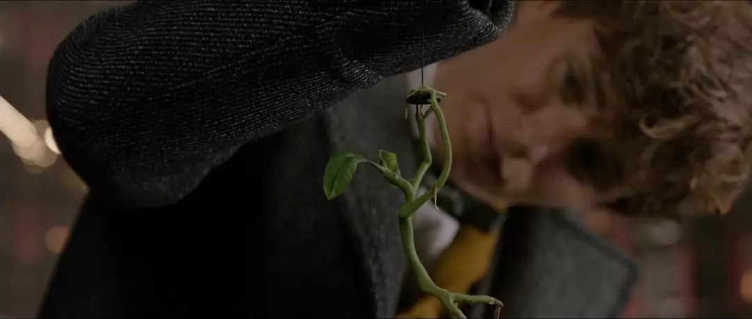 你的魔法杖已配送，请查收