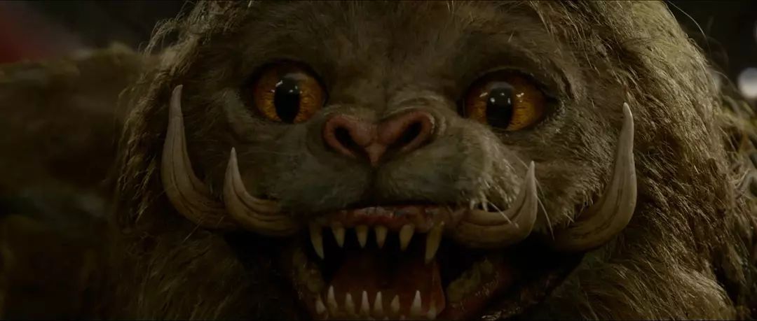 你的魔法杖已配送，请查收