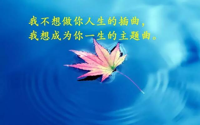 简短有格调的个性句子，句句穿心，让人拍案叫绝！