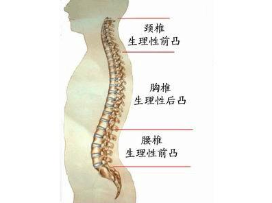 严不严重？要不要手术？几分钟教你看懂腰椎的检查报告！