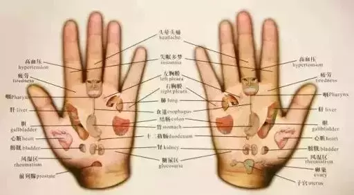 手掌对应五脏六腑图（右手手掌对应五脏六腑图）-第2张图片-科灵网