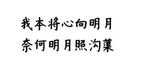 华语辩论世界杯无愧于心(我也是第一次当你的学姐学长)