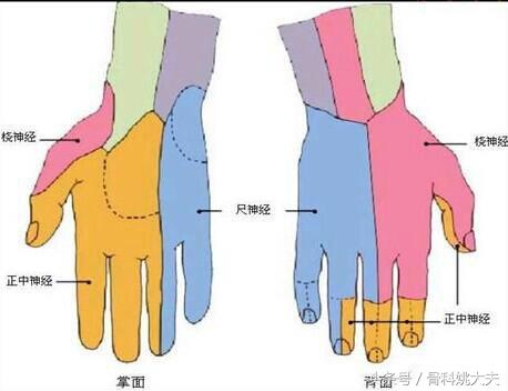 右手小发麻的原因及手指麻木的处理方法