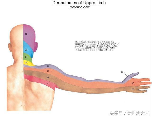 手指麻木怎么办？手指麻木的病因是什么？医生告诉你答案