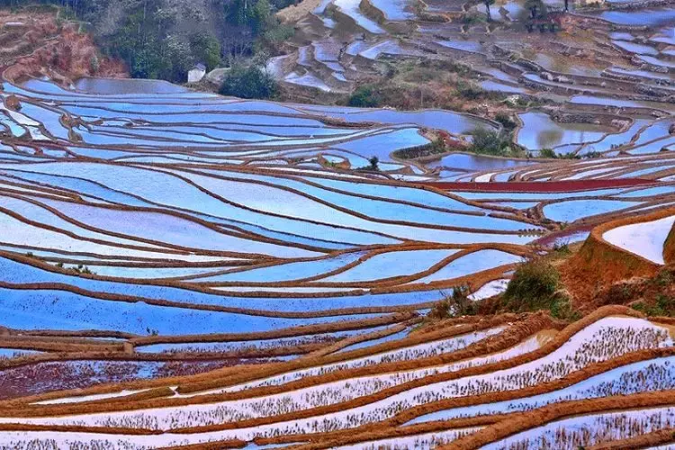 看懂了五行，你就领悟了中国人的天地人生