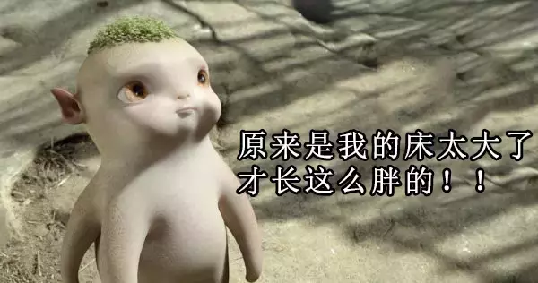 养好鱼系列——专为招财而生的鱼，得此鱼者得天下