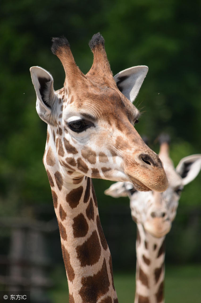 只有彻底的分崩离析，才能看到新大陆和光「《圣经》经典句子」