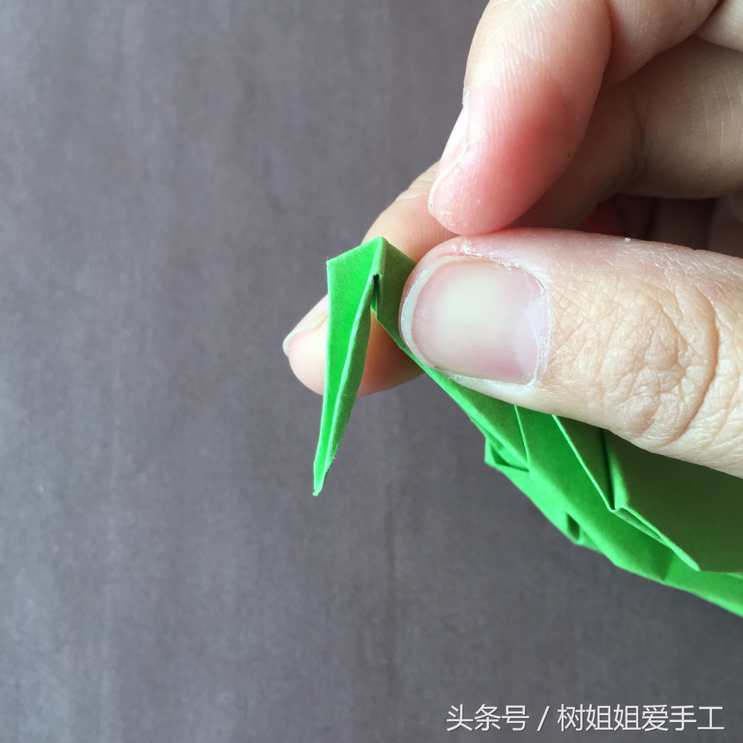 折纸枯叶螳螂教程图片