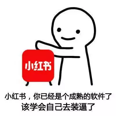 表情包：微信，你已经是个成熟的软件了，该学会自己回信息了