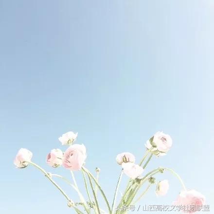 山西省高校文学社团联盟社团大展——啼鸣文学社