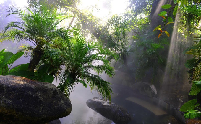 交通:乘坐荷花温泉的免费接送班车,在腾冲县城玉泉园,墓园环岛,和顺