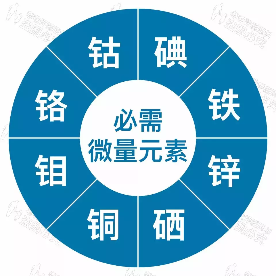 套路!有些微量元素检测仪器数据可调!别再带孩子测了!