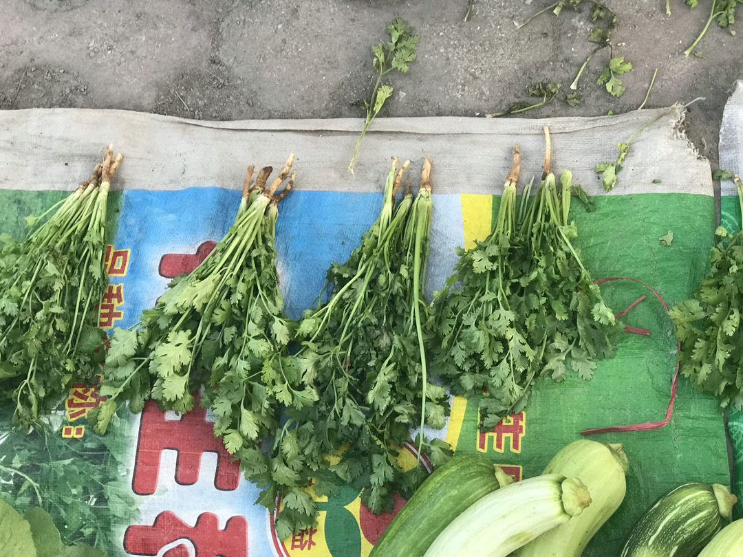 瘋狂的河北“香菜”：從20到2塊一斤，大爺說，給點錢就全送你了！