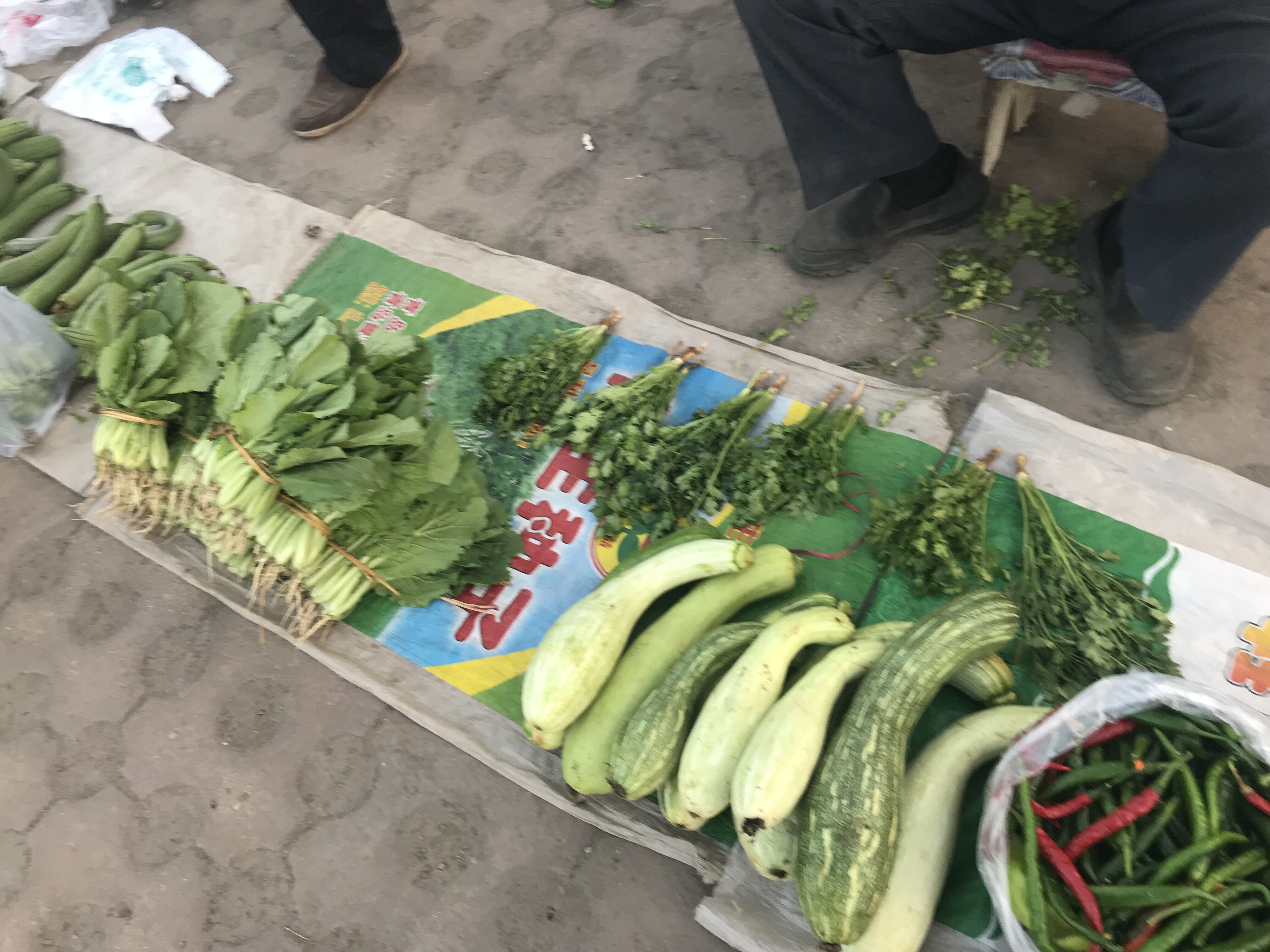 瘋狂的河北“香菜”：從20到2塊一斤，大爺說，給點錢就全送你了！