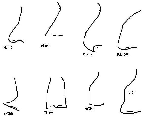 趣解五官，长相对命运的影响「知命篇·相」