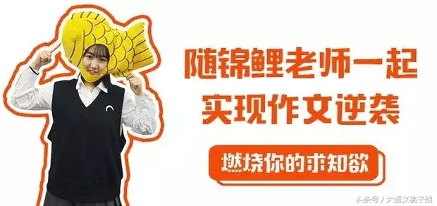 没有谁能抗拒它毛茸茸小脑袋轻蹭手心的温柔瞬间