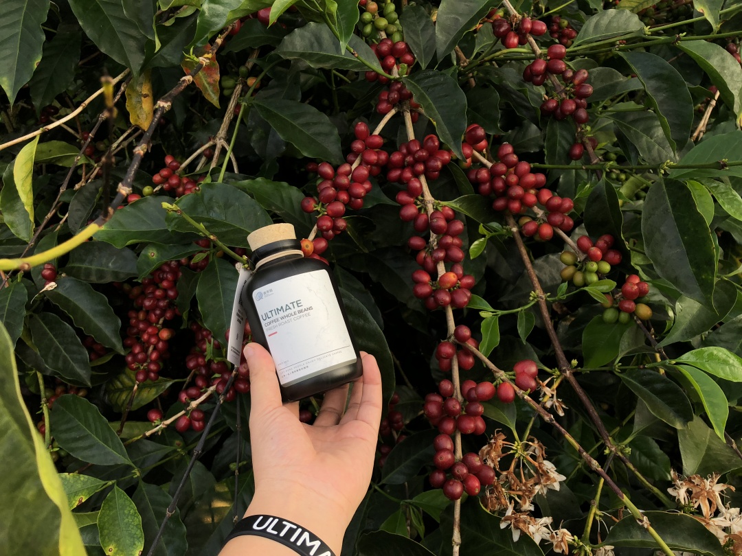 哥伦比亚咖啡没特点?怕是你对它存在什么误解吧?