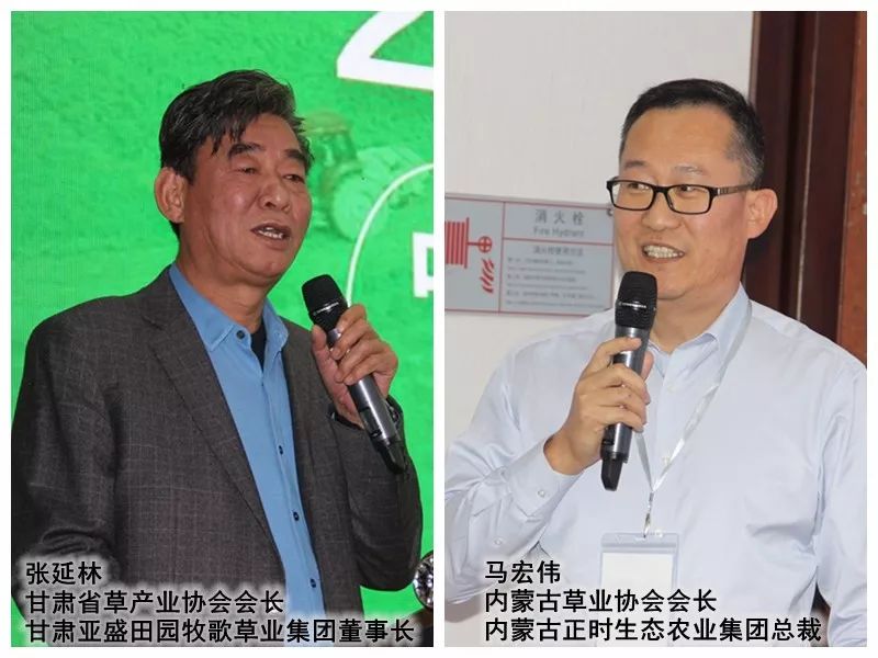 牧草供應(yīng)全球短缺 進(jìn)口不停 中美西澳草人牛人暢聊牧場配方調(diào)整