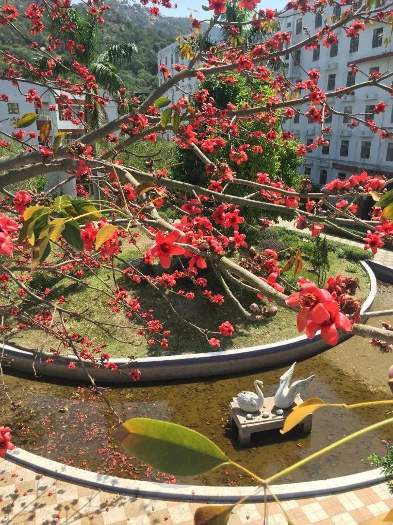 我考上大学时，小学同学已经辍学卖了5年肉丸