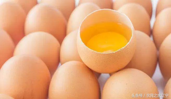 辽宁鸡蛋、肉鸡价格，短期内是涨是跌？（附最新价格表）