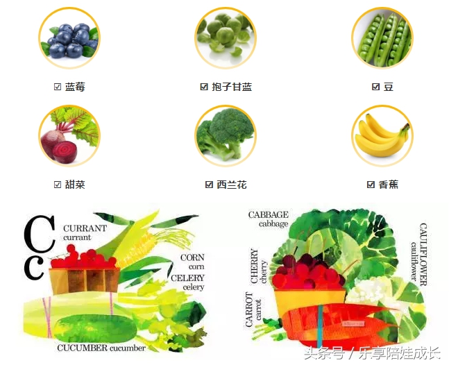 绘本磨耳朵:Eating the Alphabet:Fruits & Vegetables from AtoZ
