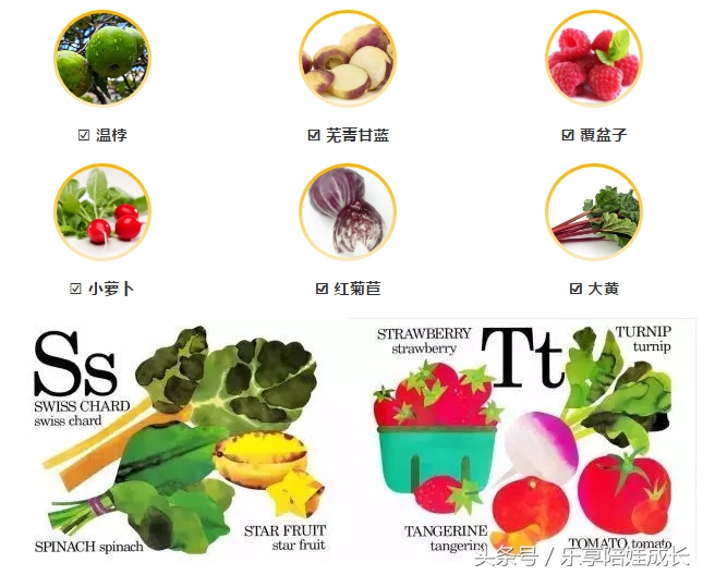 绘本磨耳朵:Eating the Alphabet:Fruits & Vegetables from AtoZ