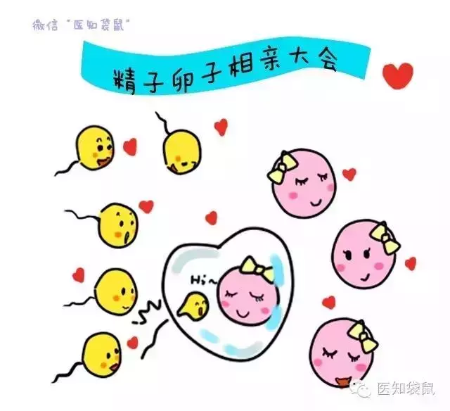 试管婴儿能选择性别吗?和正常婴儿有区别吗?成功率有多高?