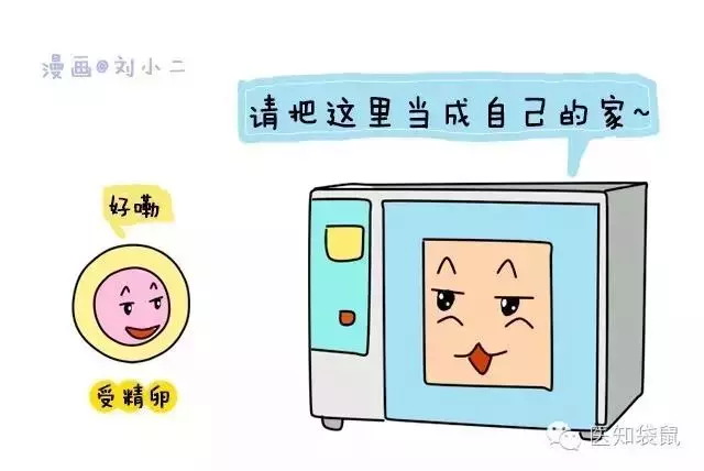 试管婴儿能选择性别吗?和正常婴儿有区别吗?成功率有多高?