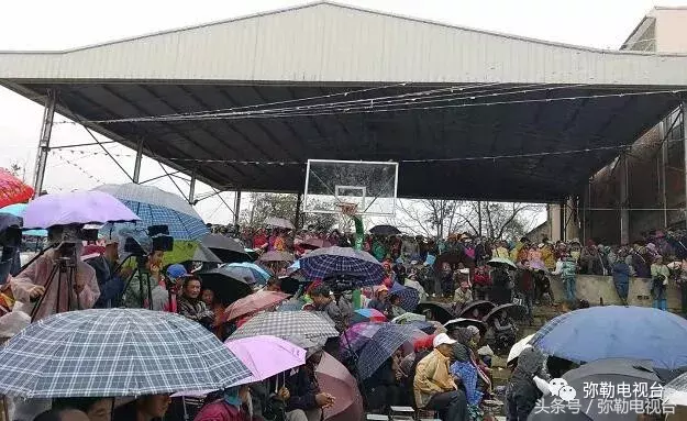 弥勒这19人火了!太多精彩……弥勒的骄傲