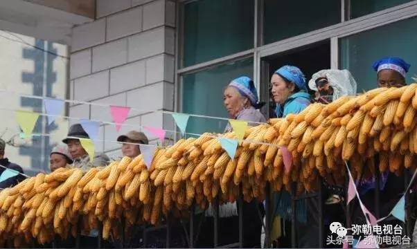弥勒这19人火了!太多精彩……弥勒的骄傲
