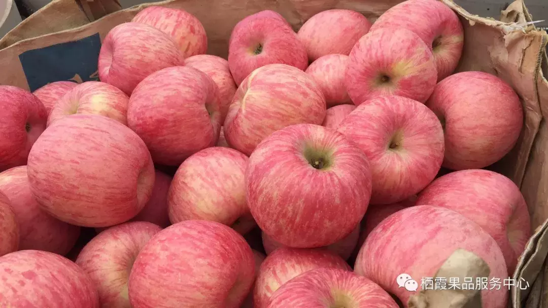 吃不起：山东苹果价格再次刷新2018年苹果行情！最高7元