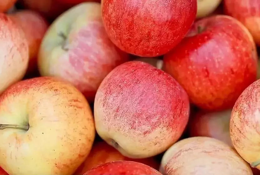 吃不起：山东苹果价格再次刷新2018年苹果行情！最高7元