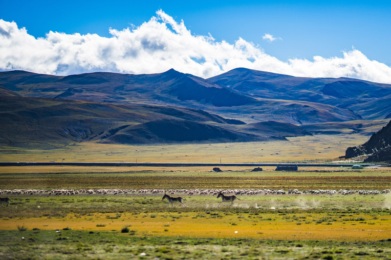 记西藏山南游，游遍红尘，唯藏地让人怀念，其他地方……人多啊！
