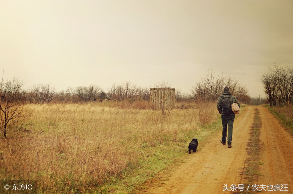 立冬阴天有什么说法（揭开谚语准确预测的真实原因）