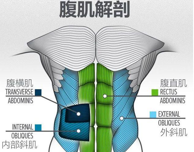 想要練腹肌？開始2個動作就足夠了，後期再全面雕刻