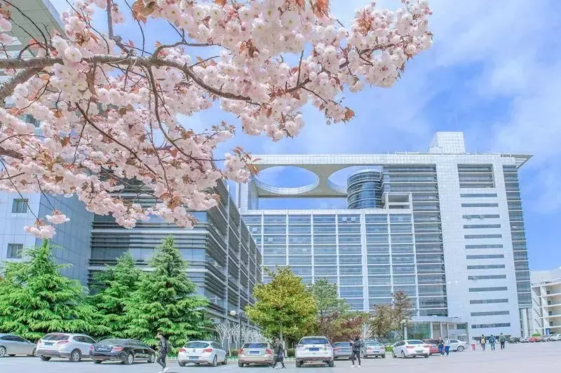 开学了，去青岛最美大学去逛一逛吧，个个堪比5A级景区