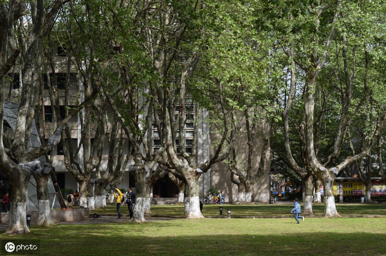 东南大学四牌楼,东南大学四牌楼校区邮编-爱妻自媒体