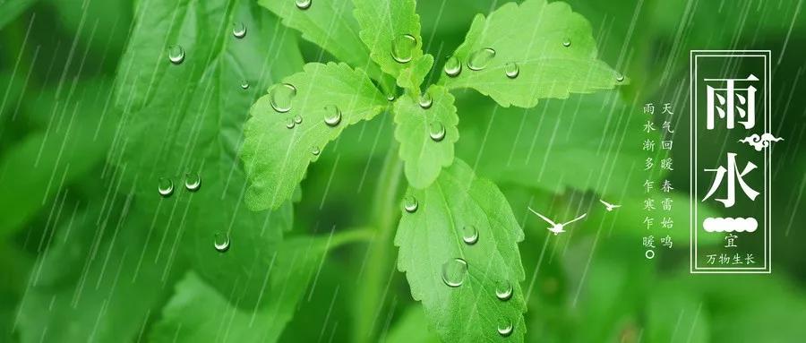 渭城朝雨浥轻尘客舍青青柳色新(渭城朝雨全诗)-始兴思宇科技