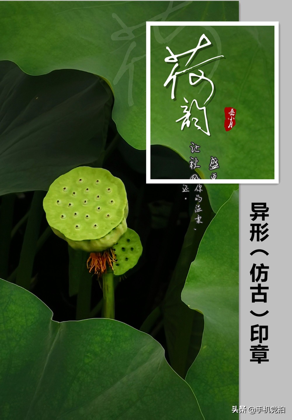 给照片加水印｜教你手机制作2种“仿古小印章”，很国风