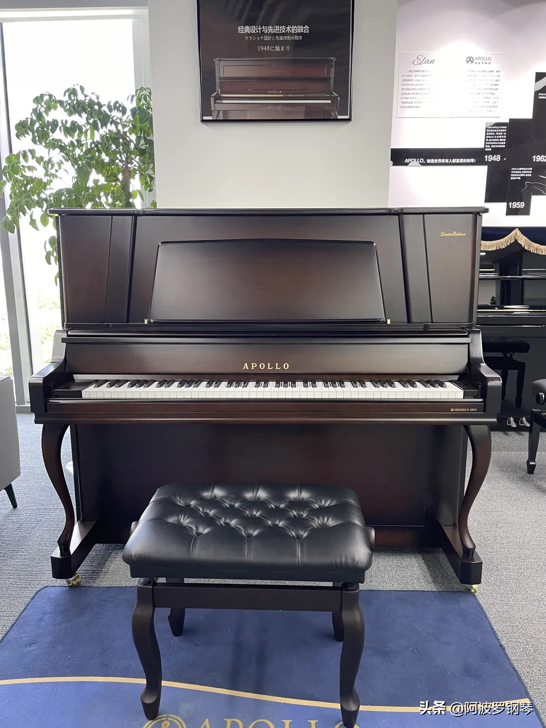 选择APOLLO钢琴的十大理由~总有一个让你心动
