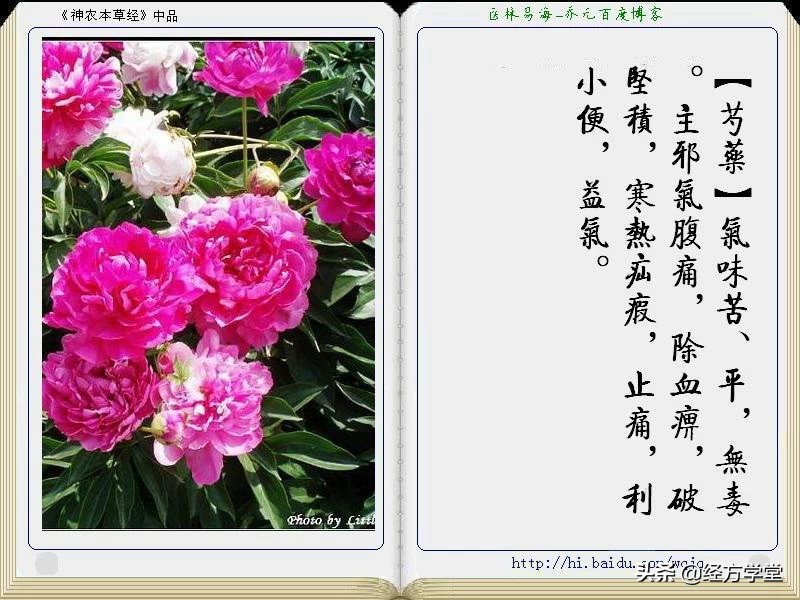 《神农本草经》全册图文解析 建议收藏