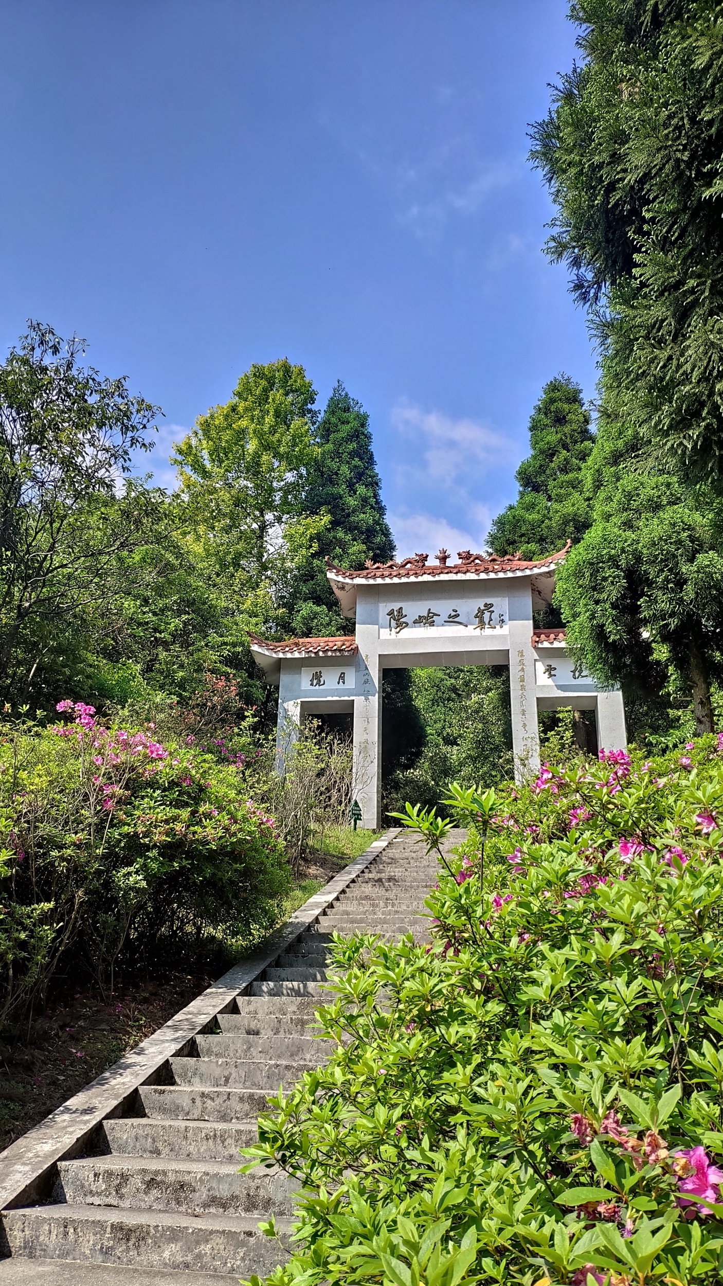 崇义阳明山是一个自驾游的好地方)