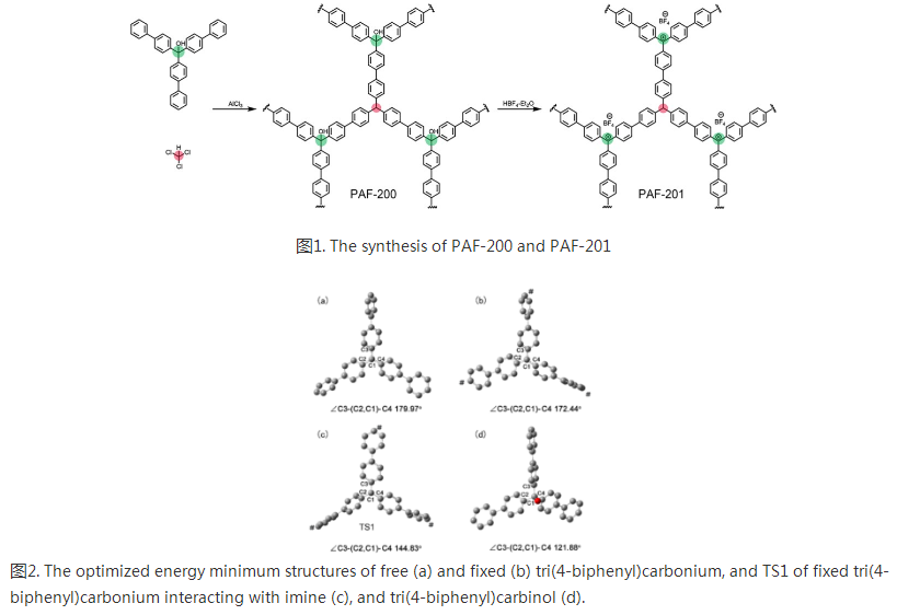 聚焦全球危机！东北一高校连出重磅成果，获国际关注