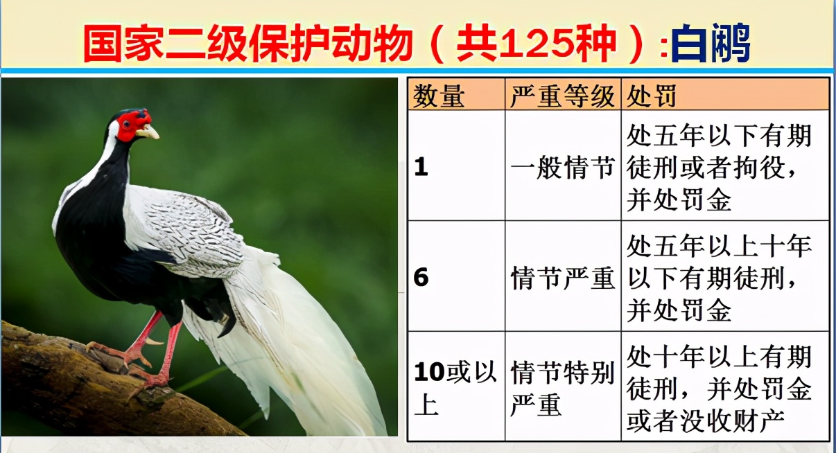 二级保护动物（国家最新125类二级野生保护名录）