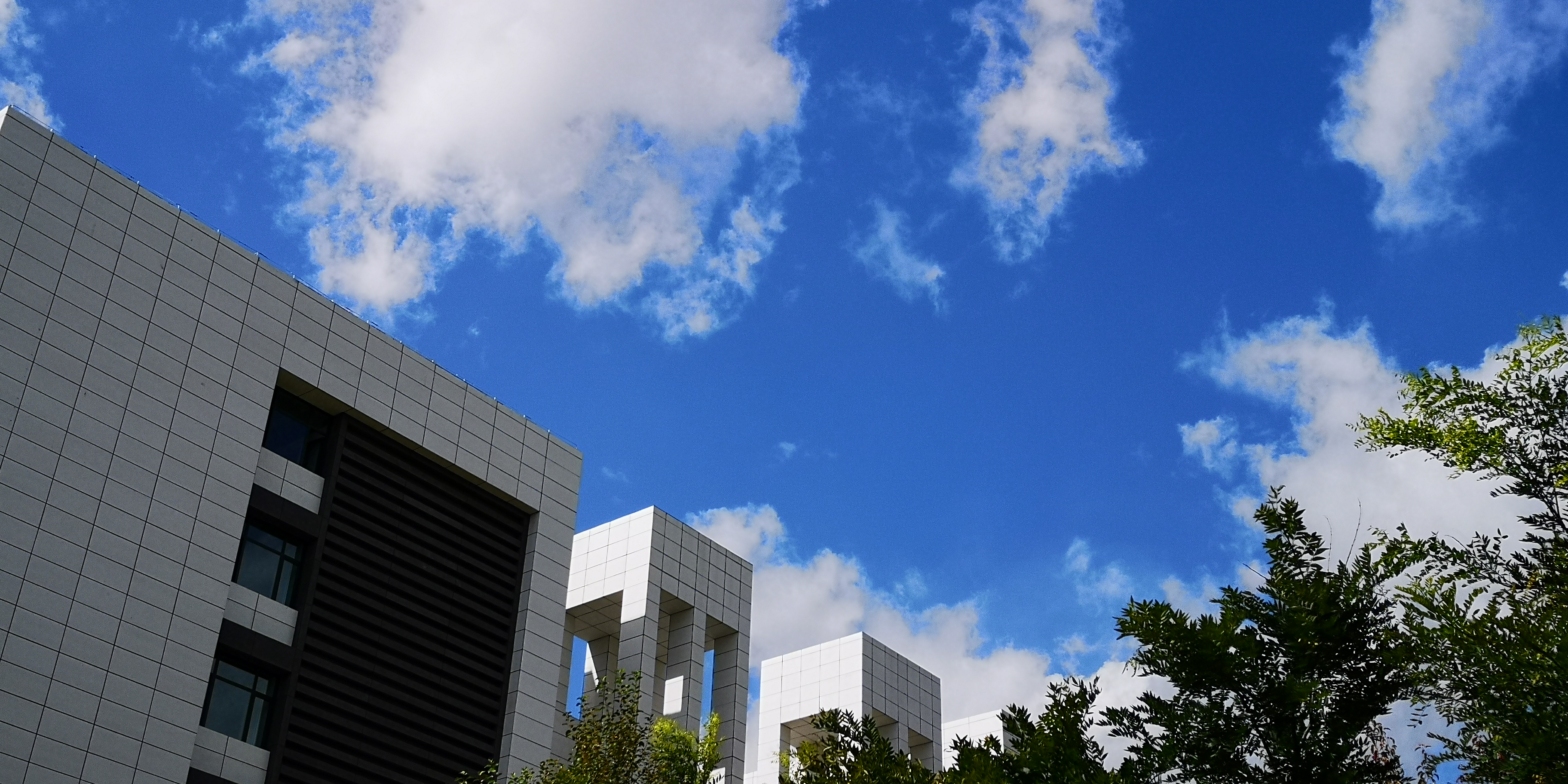 青海大学排名2017「青海大学排名2022最新排名」
